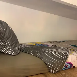 Cosy Appartement